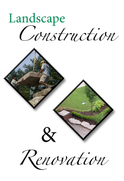 landscape construction