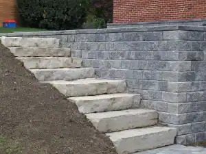 Natural stone step with retaining wall and plants