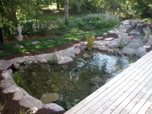 A small landscaped pond with rocks and water.
