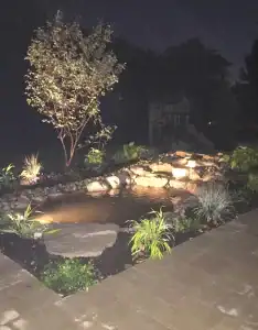 A pond with lights and plants in the evening.