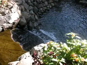 A small pond with rocks and water.