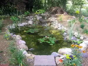 A small pond with rocks and water.