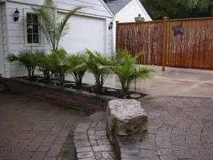 Outdoor landscaping featuring palm plants and a stone border in a residential yard.