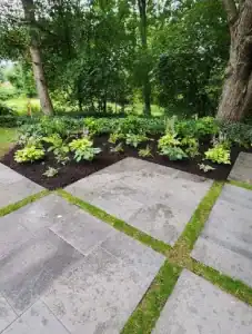 Outdoor garden pathway with stone tiles and lush greenery.