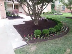 Beautiful landscaped garden with tree, flower bed, and walkway in a residential yard.
