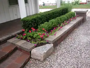 Outdoor garden with neatly trimmed hedges and colorful flowers.
