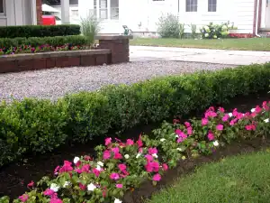 San Marino outdoor landscaping with trimmed hedges and colorful flowers.