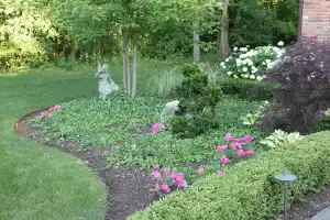 Outdoor garden with lush greenery and decorative plants.