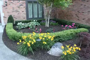 Landscaped garden with colorful flowers, shrubs, and a tree in San Marino outdoor services.
