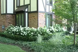 Beautiful garden with lush greenery and flowering plants outside a house.