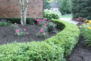 Well-maintained garden with colorful flowers and lush greenery in San Marino.
