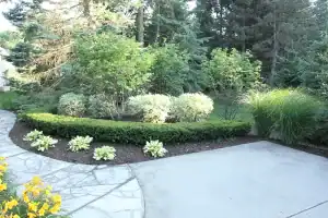 Beautiful landscaped garden with shrubs, trees, and a stone pathway.