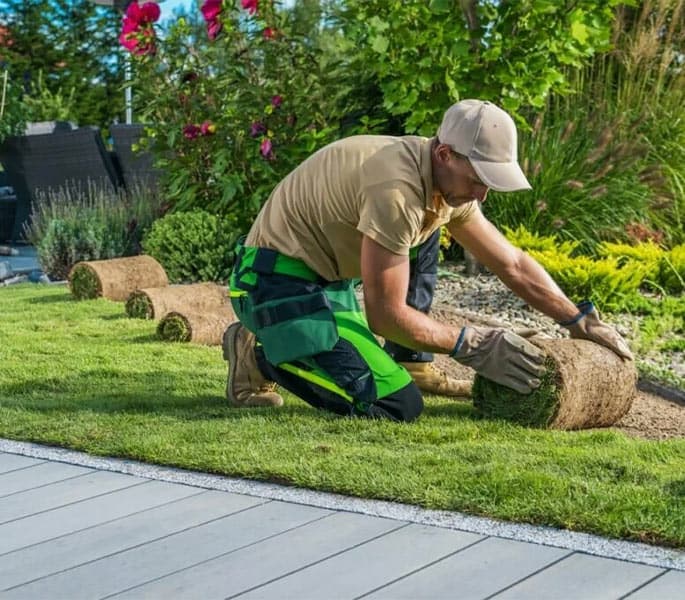 Tree, Shrub & Sod Installation
